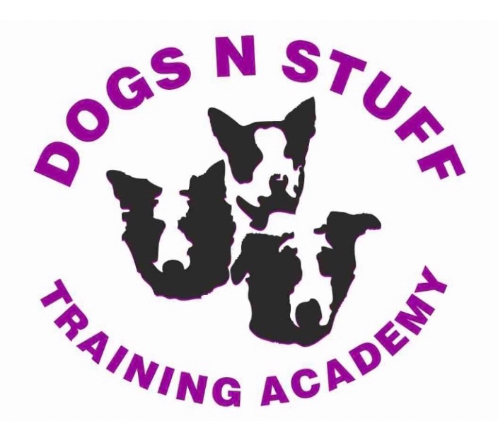 Dogs n Stuff Training Academy